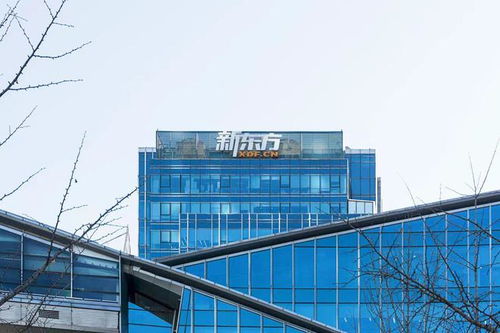 俞敏洪挥师旅游业 新东方老师转型导游，10亿布局背后的跨界逻辑与人才争夺